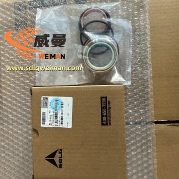 ORIGINAL SDLG SEALING KIT 4120004763011 APPLY FOR SDLG MOTOR GRADER G9180 G9190 G9200