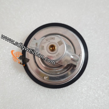 71660b83bb170ab6955710995221f684_origin(1) (1).jpg