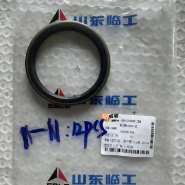 SDLG 4043000128 Sealing ring LGB307-65 for LG Machinery with good price