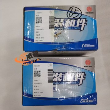 Weichai 13023061 water pump for machine with Good Quality and Price