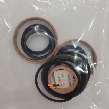 4120001821101 Sealed bag 0.1kg 4120001821101 KIT DE REPARO SDLG